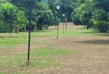GIRARDOT CONDOMINIO PACOLI VENTA CASA CAMPESTRE AMOBLADA, 320 M2, TERRENO 750 M3 $720.000.000