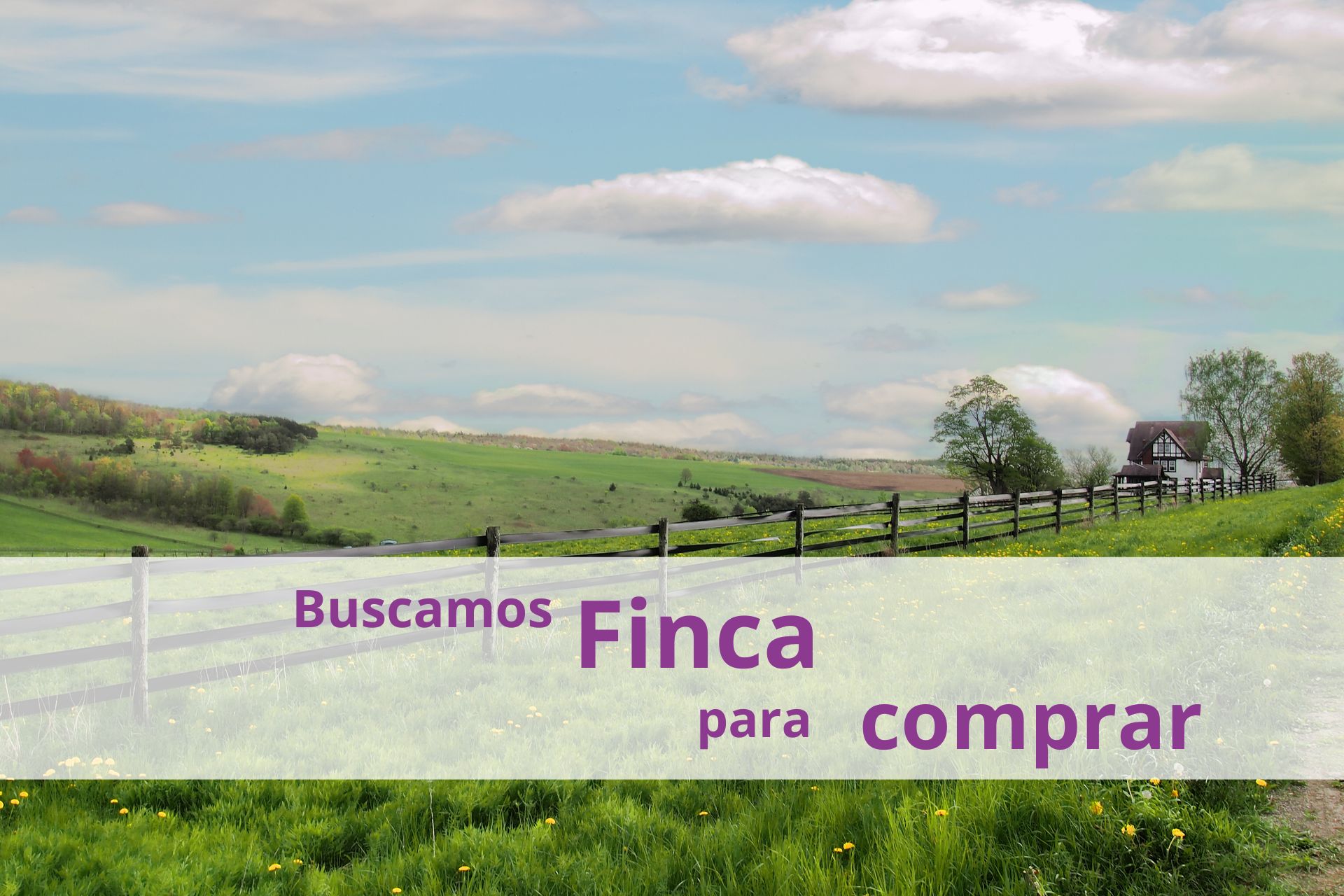 Buscan finca para comprar en Colombia