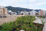 Apartamento Chico Navarra